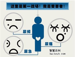 尿频尿痛可能会是哪种男性疾病？