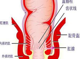 肛管直肠周围脓肿的临床病象和诊断