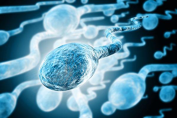 引起精子少的原因及危害和如何预防