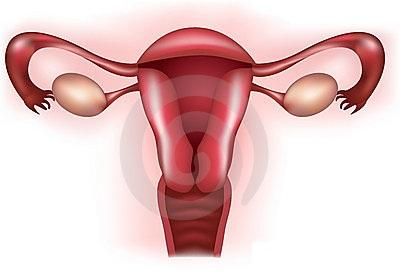卵巢性不孕临床排查及自我判断和检查方法