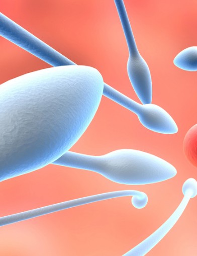 如何保护男人的精子和提高生育能力的食物