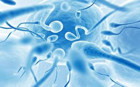 如何增加精子活力和影响精子活力的因素