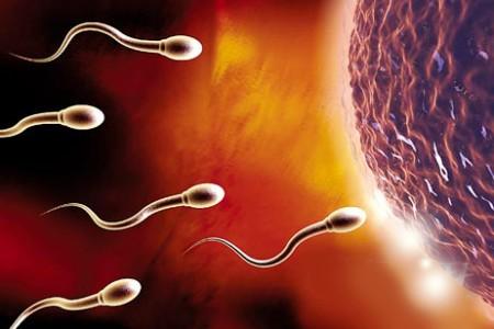 精子衰弱的四个主要因素 如何制造优质精子
