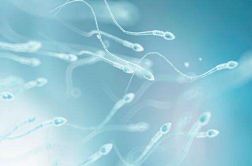 精子质量差影响生育吗?