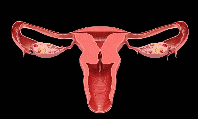 如何发现宫颈危险信号 及早杜绝妇科疾病