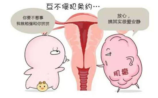 怀孕了有子宫肌瘤怎么办?