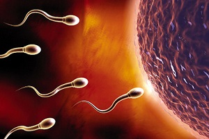 男人射血精只是精子异常表现之一！精子异常表现还有这些
